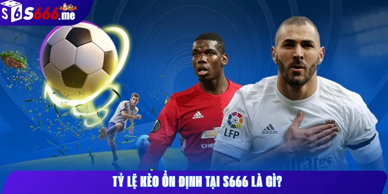 Tỷ lệ kèo ổn định tại S666 là gì?